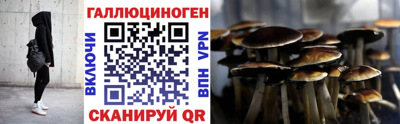 Псилоцибиновые грибы Psilocybe  Купить закладки  Дигора 